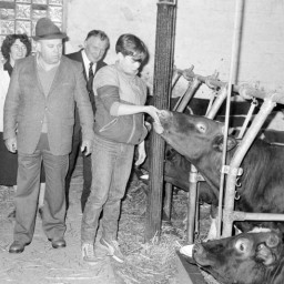 Symbolbild, stellvertretend für Bilder bei denen wir Ihre Hinweise benötigen.